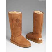 Сапоги UGG Australia 3063