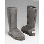 Сапоги UGG Australia 5815