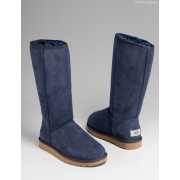 Сапоги UGG Australia 5815