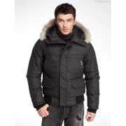 Пуховик Canada Goose D'alpagoBomber