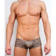 Хипсы Doreanse Хипсы Doreanse Wild Leopard